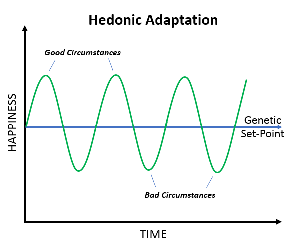 Happiness Set Point