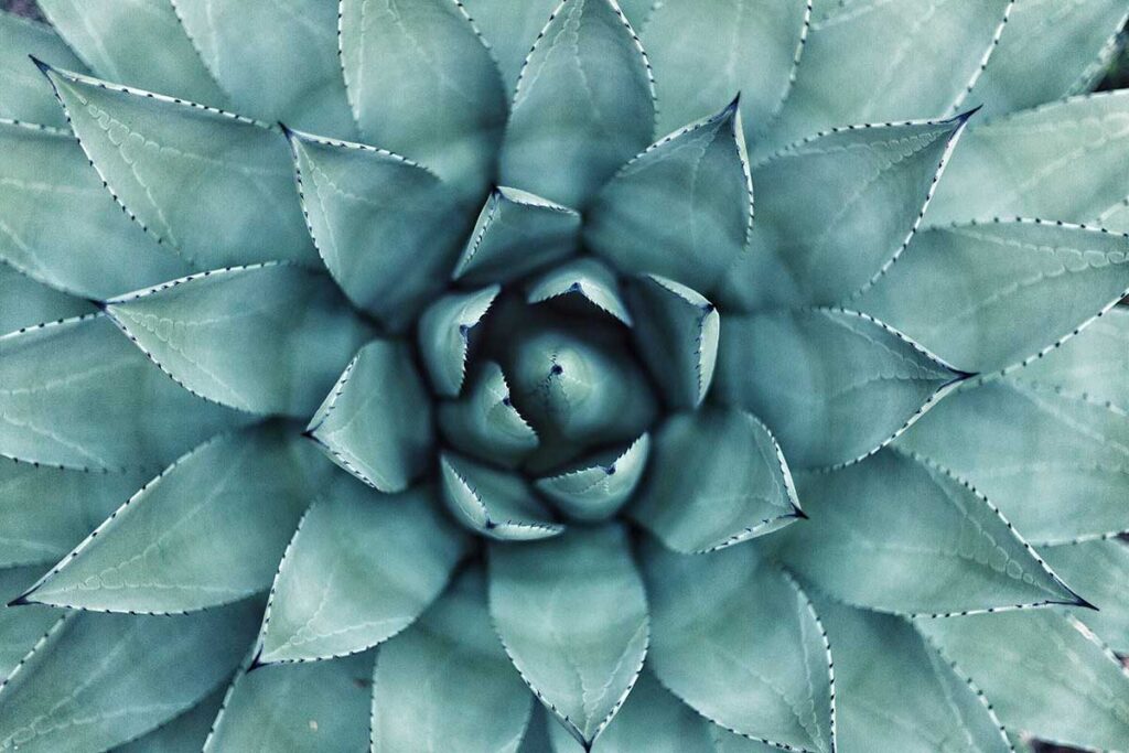 Are you getting hung up on creating a perfect meditation session?