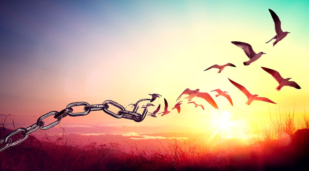 Global Forgiveness Day - can giving yourself the gift of forgiveness set you free?