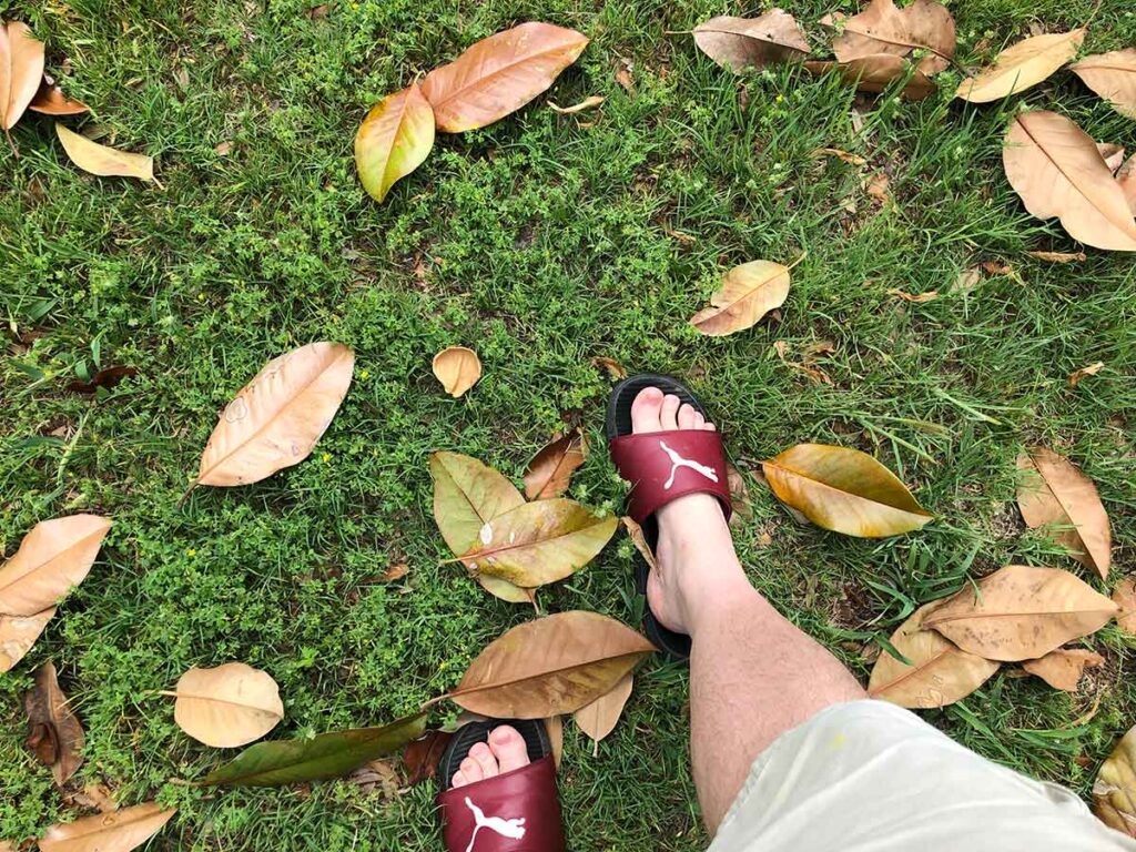 notice your feet kissing the earth during your walking meditation.
