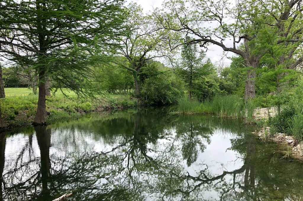 A photo of a beautiful stream I took on my walking meditation at my Meditation Retreat in Austin in April of 2023.
